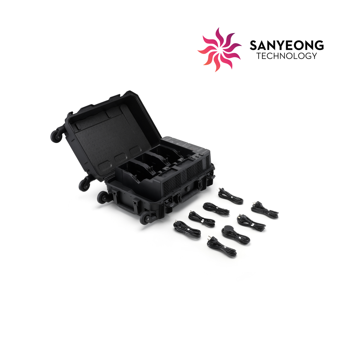 BS100 Intelligent Battery Station (General)