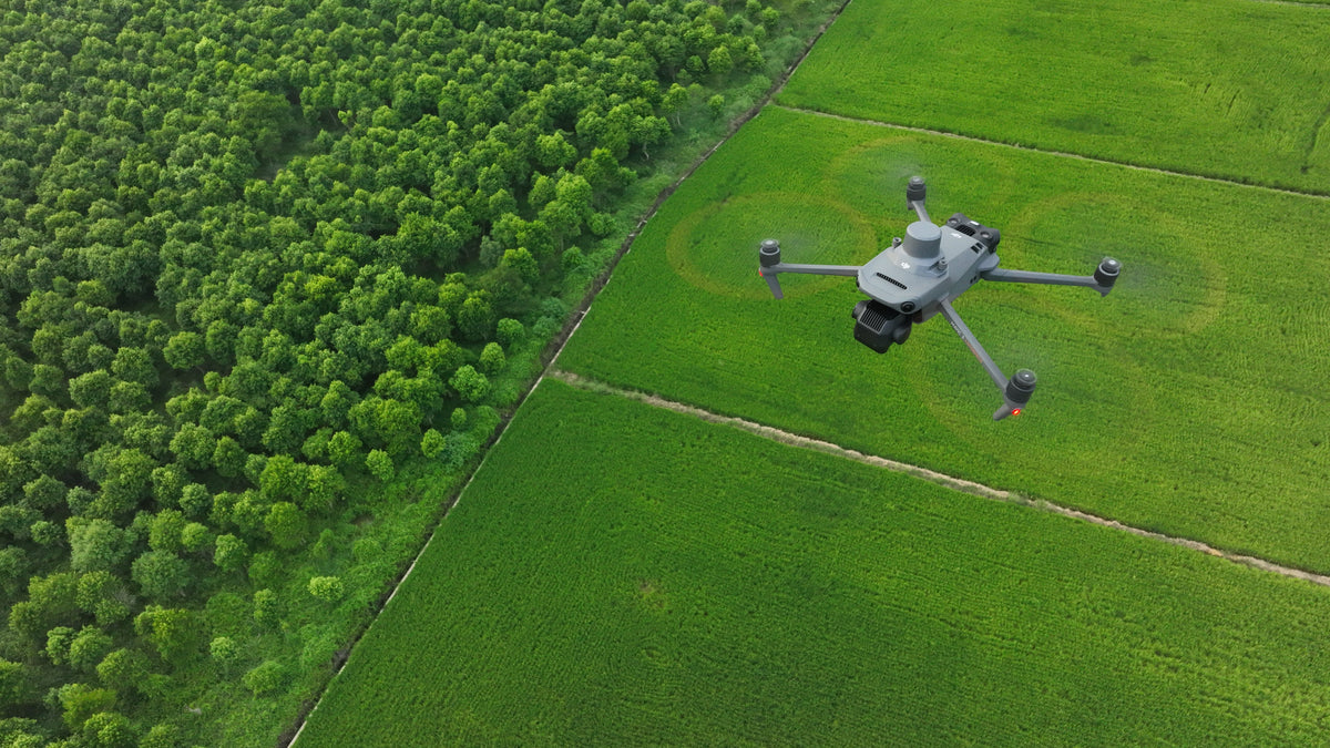 Mapping & Surveying